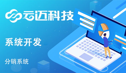 企業(yè)開發(fā)分銷系統(tǒng)有哪些運營優(yōu)勢？